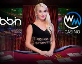 PG免费版模拟器手机版